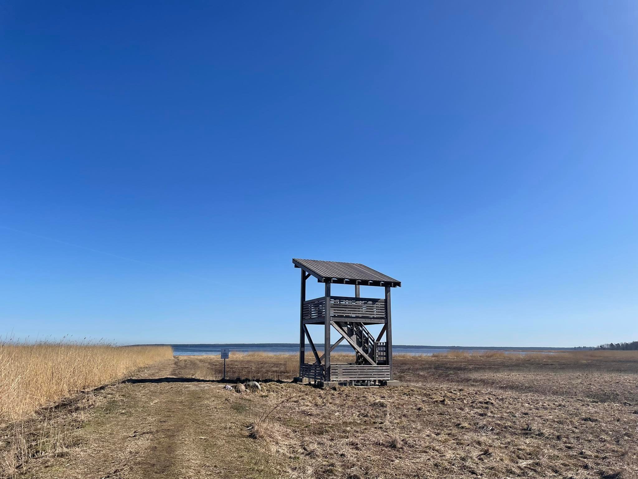 476834447 933267375617267 8924368201974050591 N