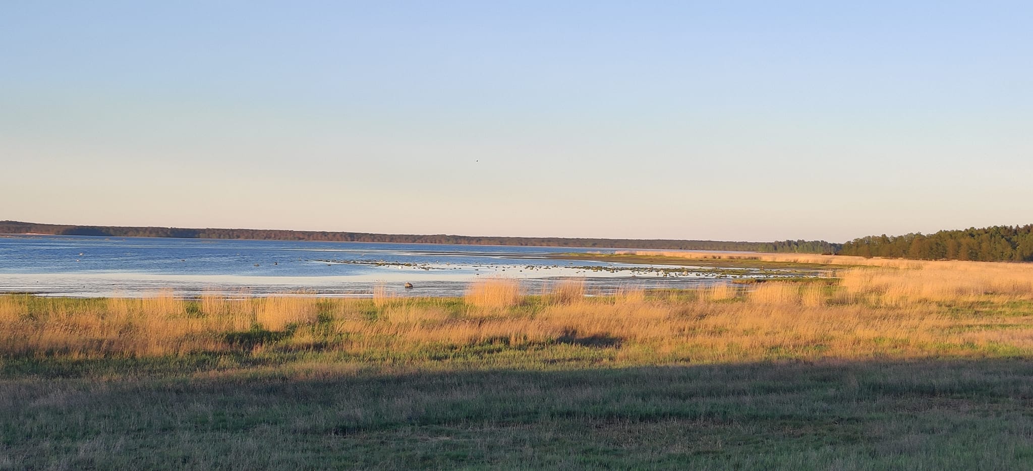 480333845 940974464846558 8867008389730449570 N