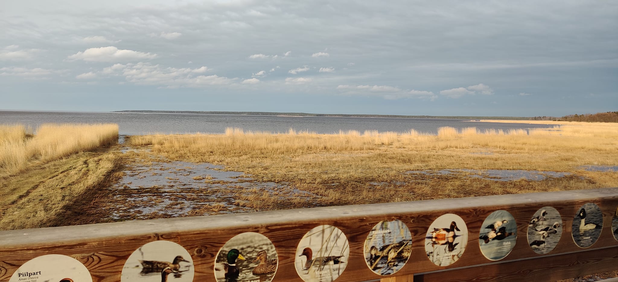 480460689 939846914959313 8007124818908662108 N