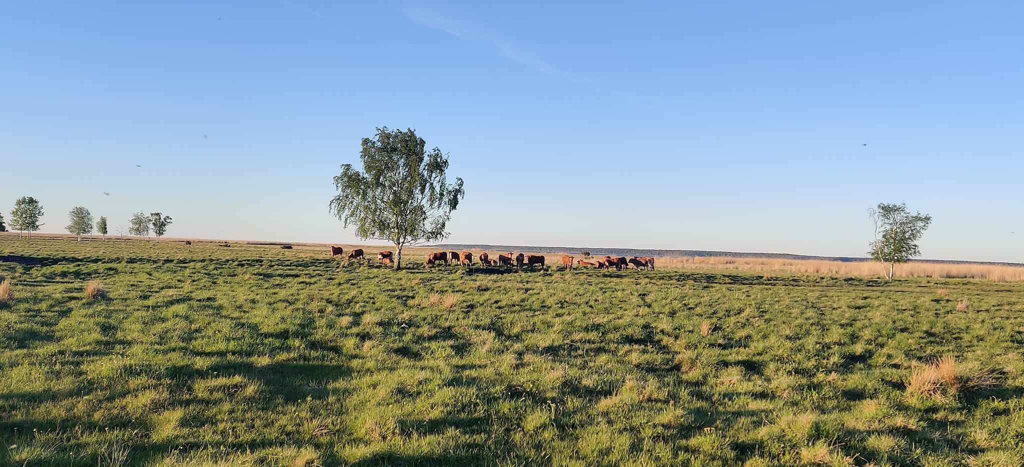 480911152 940974828179855 6686654947660584789 N