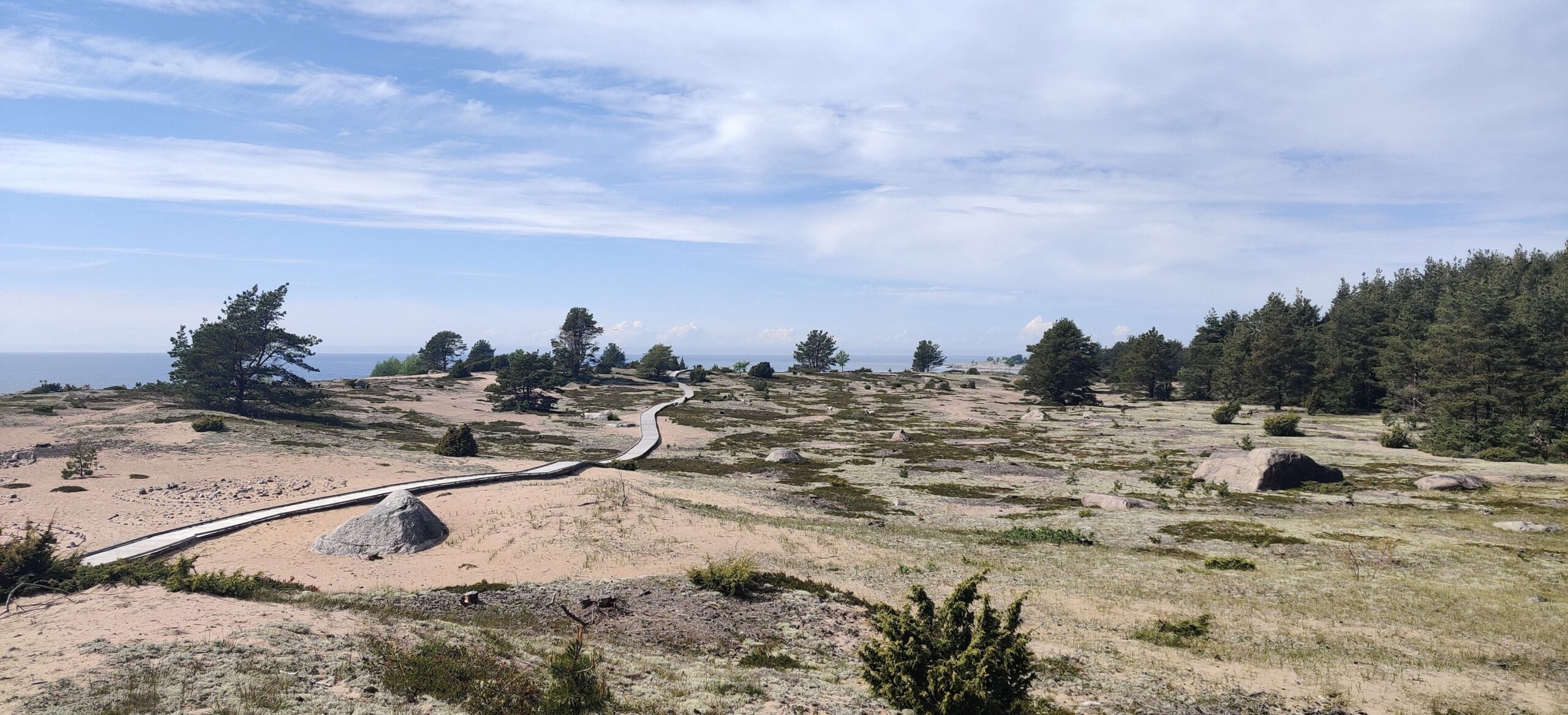 497101013 1029007946043209 5504322759430684980 N Scaled