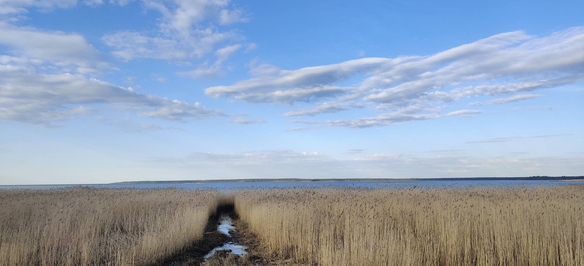 499438754 1005434248400579 4113039108605747085 N