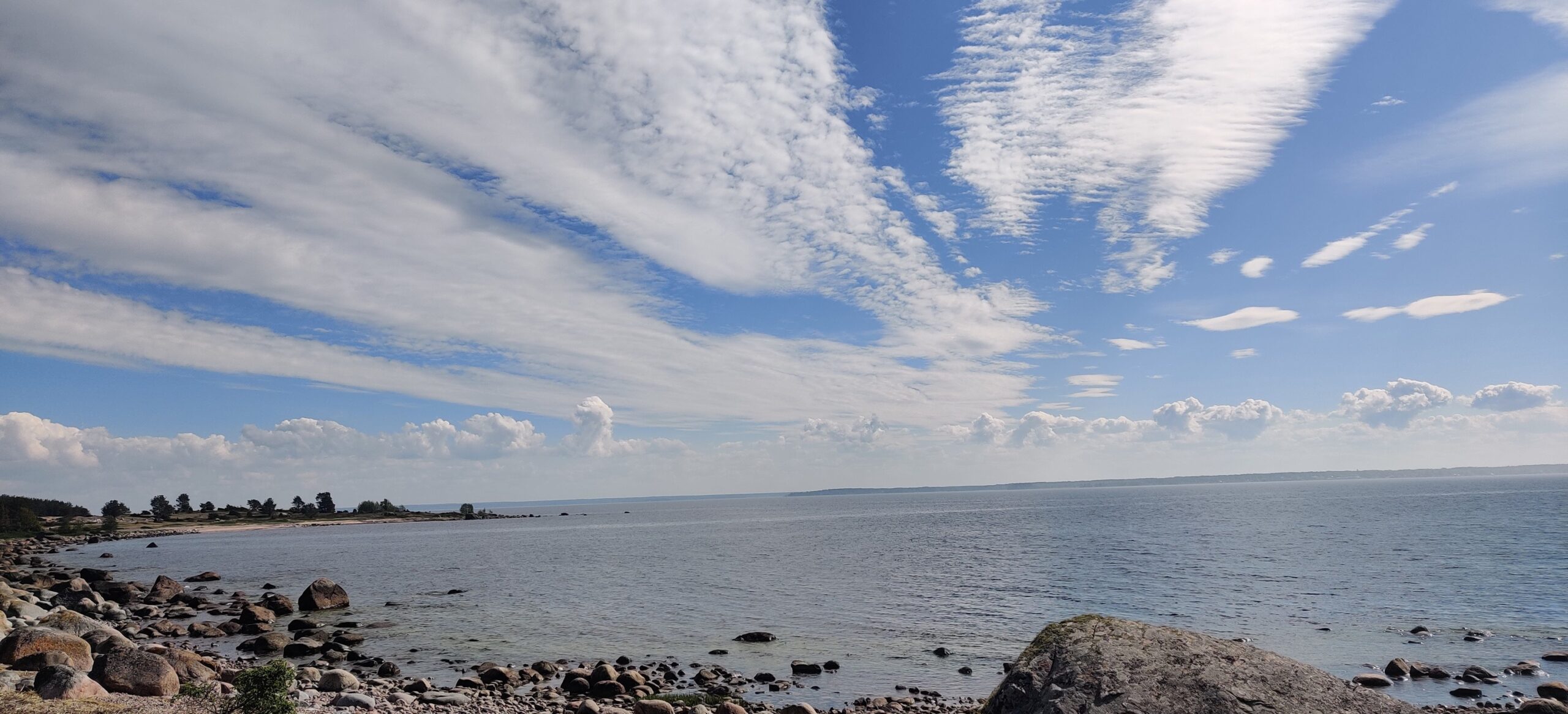 504857068 1029008139376523 7743898994234439948 N Scaled